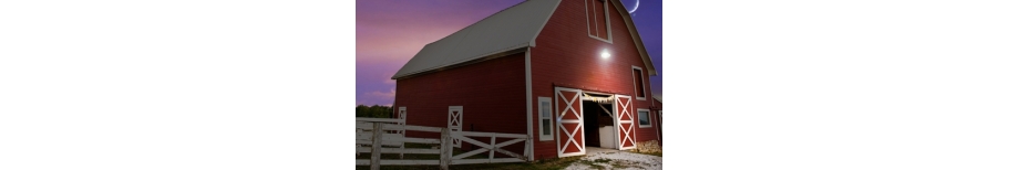 LED Barn Light