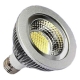 120V 13W LED COB PAR30