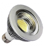 120V 13W LED COB PAR30