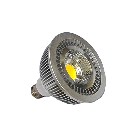 120V 22W LED COB PAR38