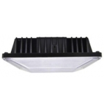 40W LED Canopy Light