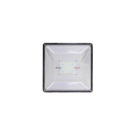 55W LED Canopy Light