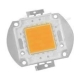 20W LED Chip